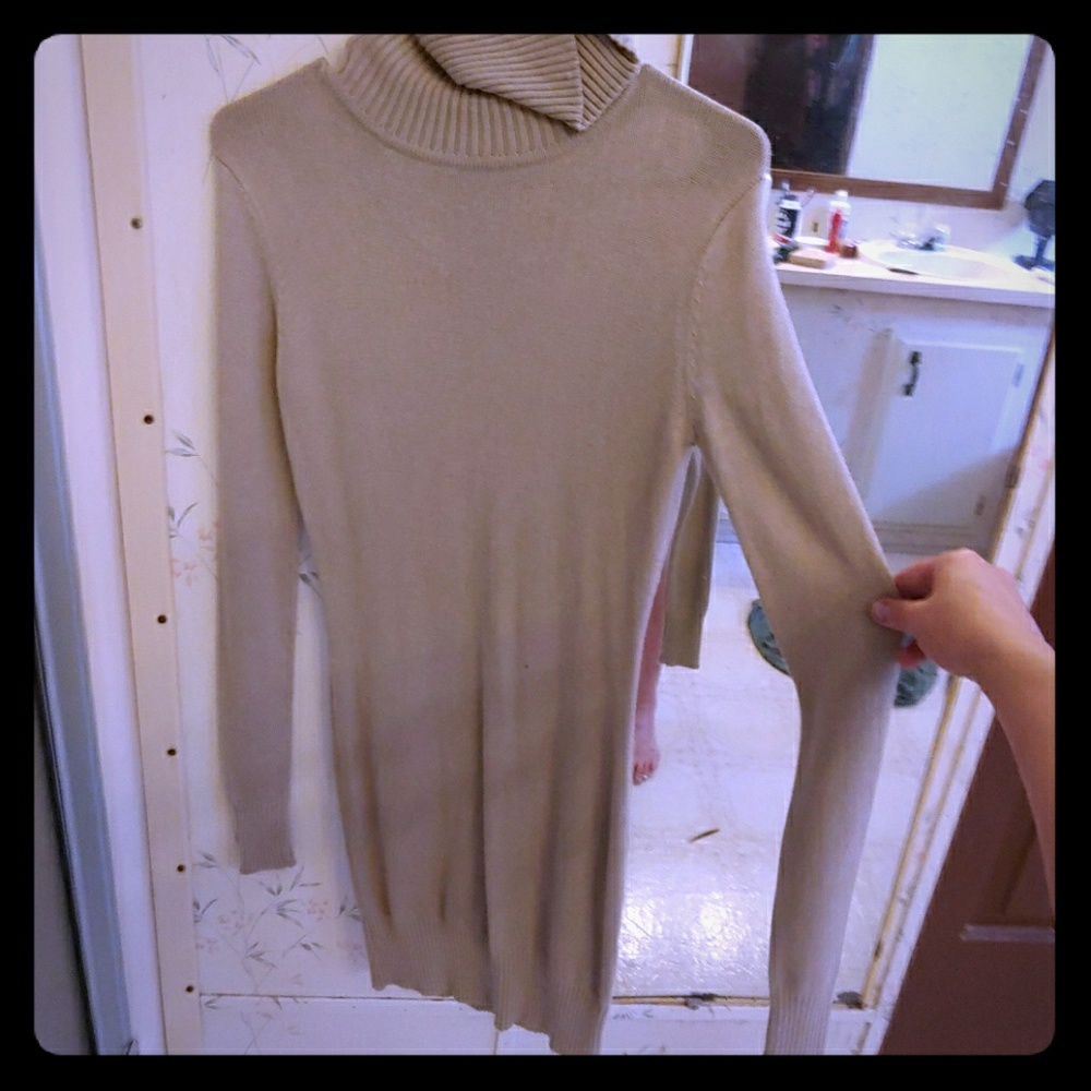 Long sleeve Turtle neck dress
